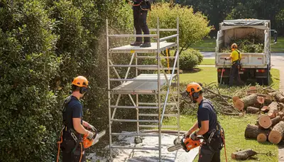 Cleveland, OH tree service crew removing overgrown shrubs from a residential yard