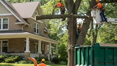 Tree service crew in Cleveland, OH providing professional tree care and removal services
