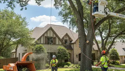 Tree service crew in Cleveland, OH providing professional tree removal and trimming services
